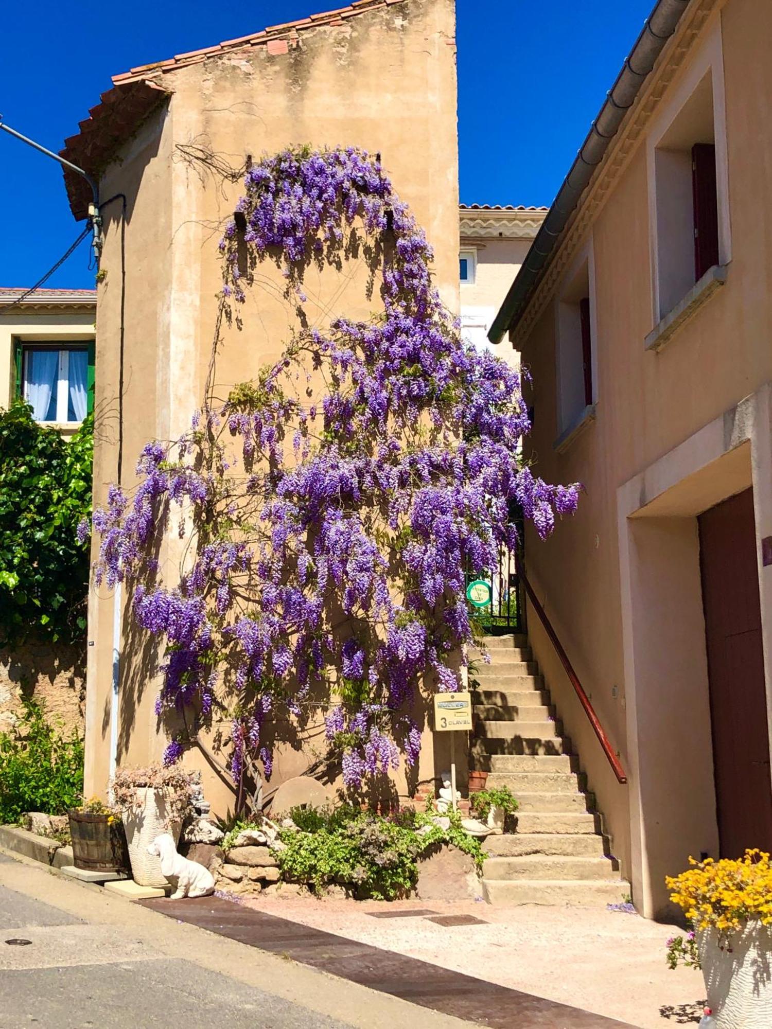 Ginestas Maison Du Midi, 2 Gites De Charme מראה חיצוני תמונה