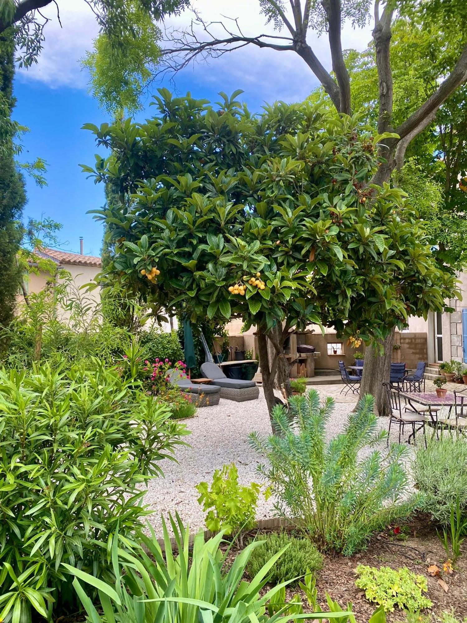 Ginestas Maison Du Midi, 2 Gites De Charme מראה חיצוני תמונה
